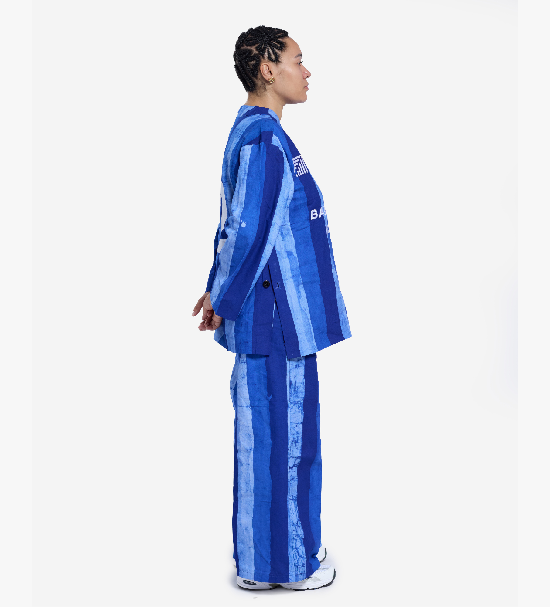 Ensemble StripeNomad