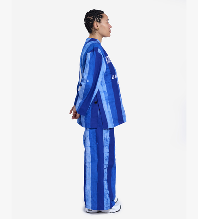 Ensemble StripeNomad